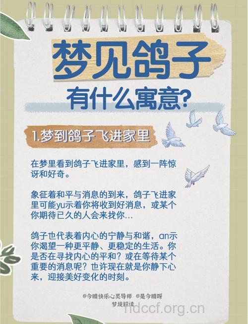 孕妇梦见鸽子是什么意思