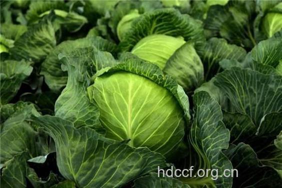 孕妇梦见蔬菜是什么意思