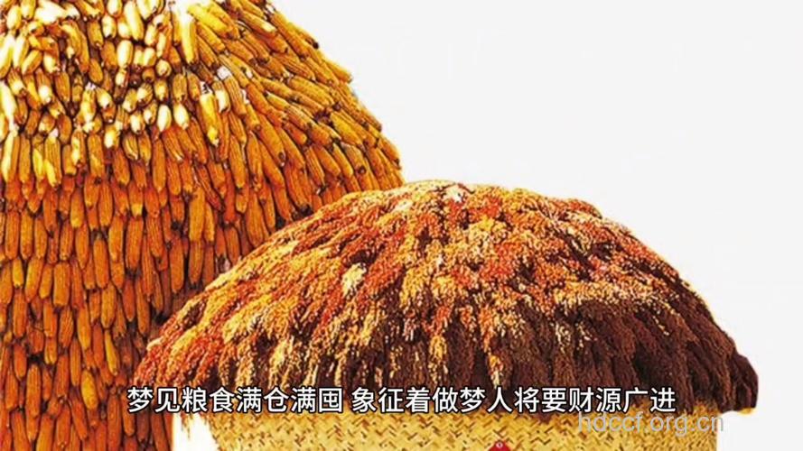 周公解梦之梦见粮食预示着什么