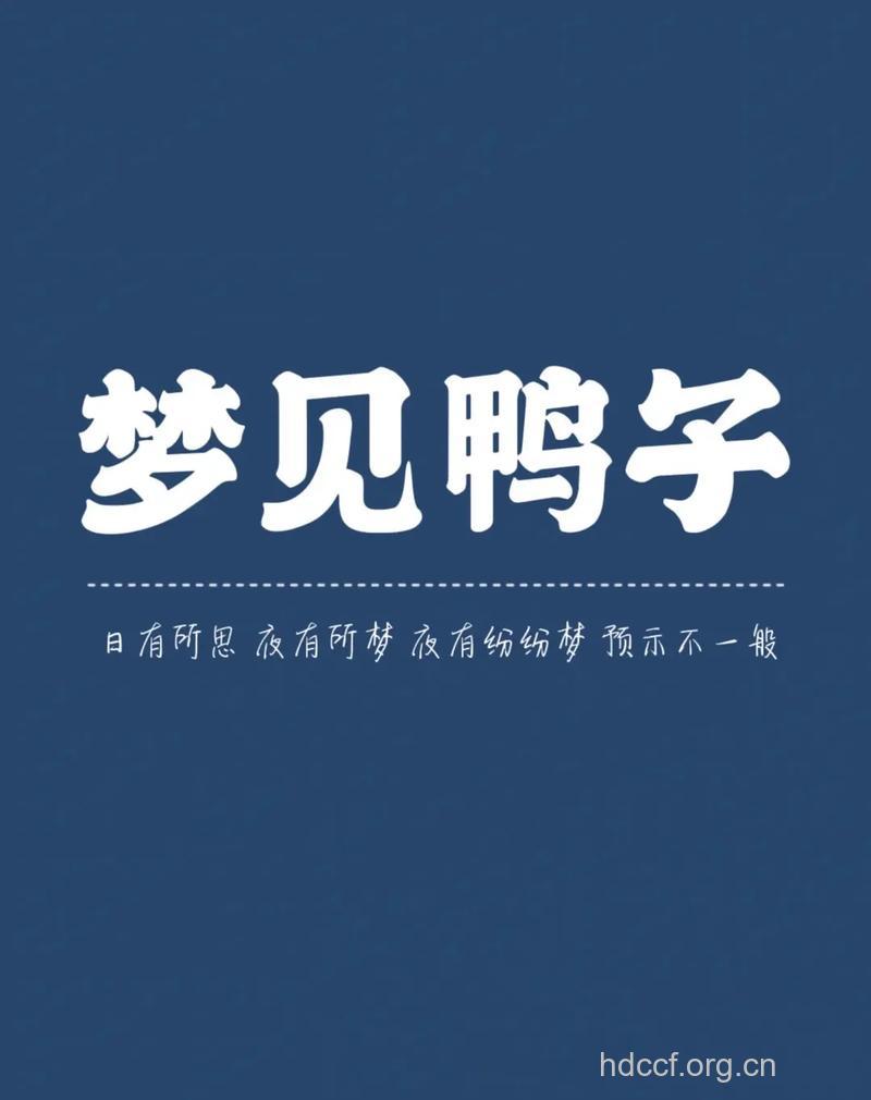 周公解梦之梦见鸭子预示着什么