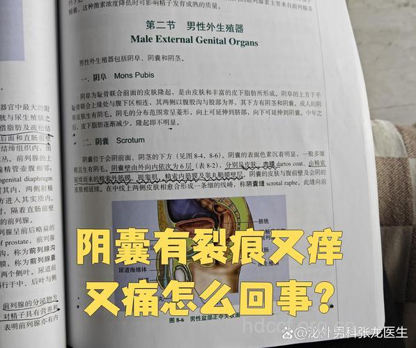 男性失恋自疗宝典