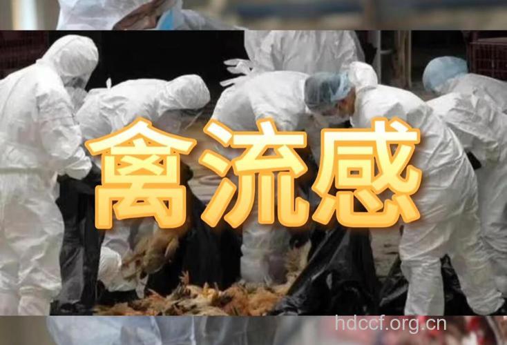 2013年爆发的H7N9型禽流感疫情